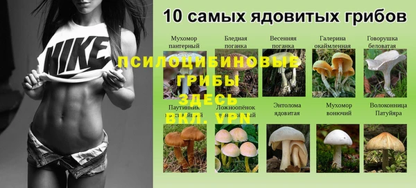 мескалин Семикаракорск