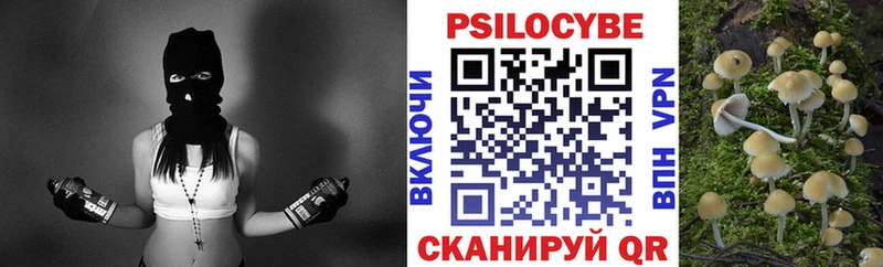 Галлюциногенные грибы прущие грибы  omg рабочий сайт  Губкинский  продажа наркотиков 